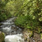 River that flows through Verdesana Retreat Center