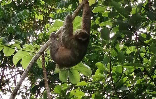 701fc1e5 5b47 4c30 bcb8 6685013b2fe2