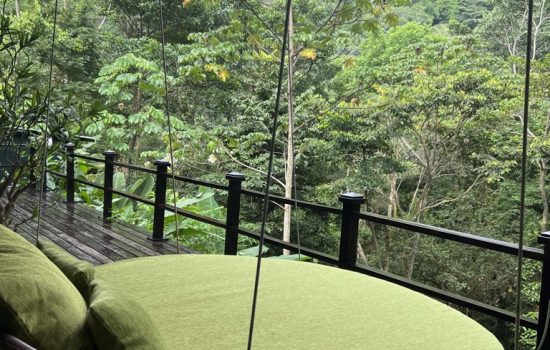 B09D9470 59A4 431D BE1F 518926C75A17 1 105 c