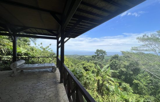 CC52E8F2 B1CD 4B30 BE11 0976BBF56AA3 1 105 c