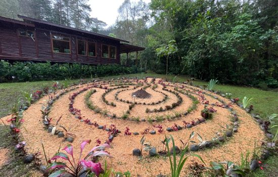 WhatsApp Image 2024 11 16 at 09.49.14 (1)